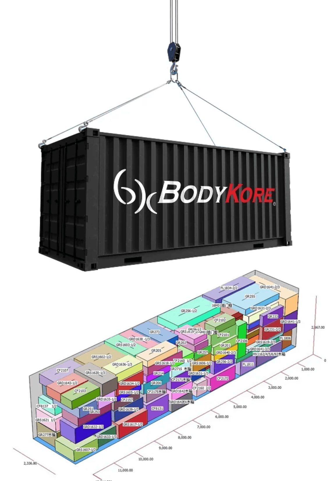 BodyKore Team