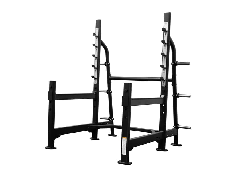 G255 Lunge Rack