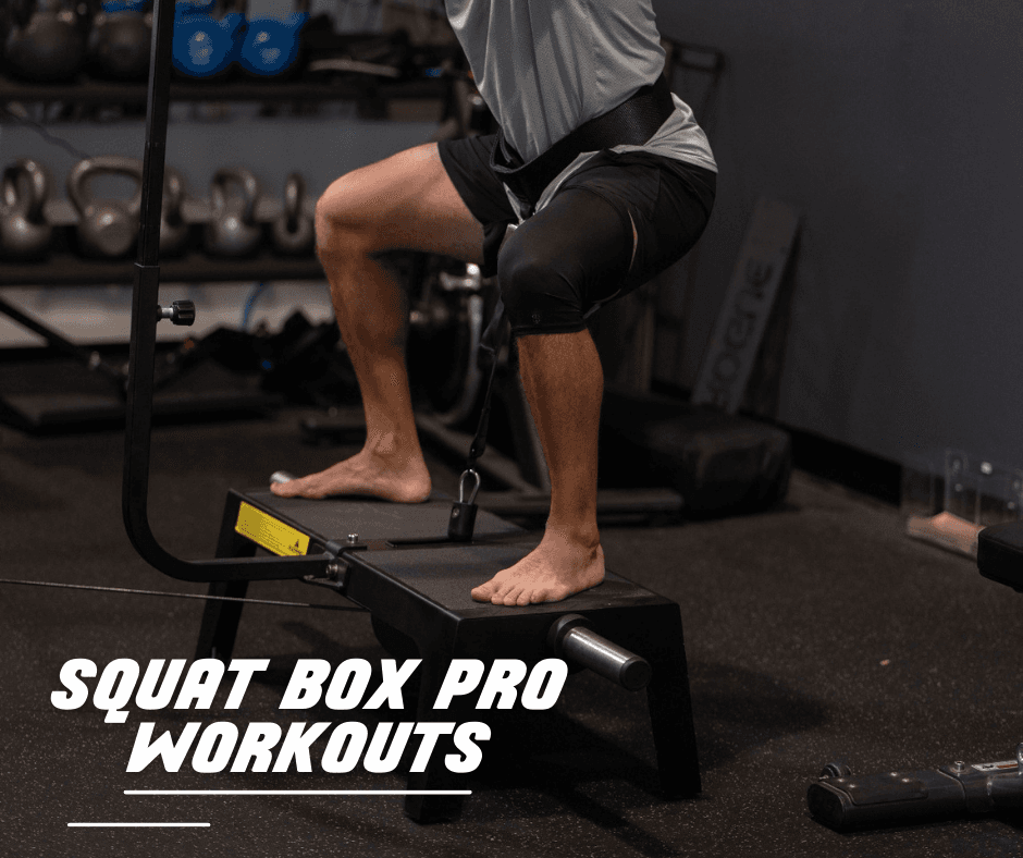 SQUAT BOX PRO WORKOUTS