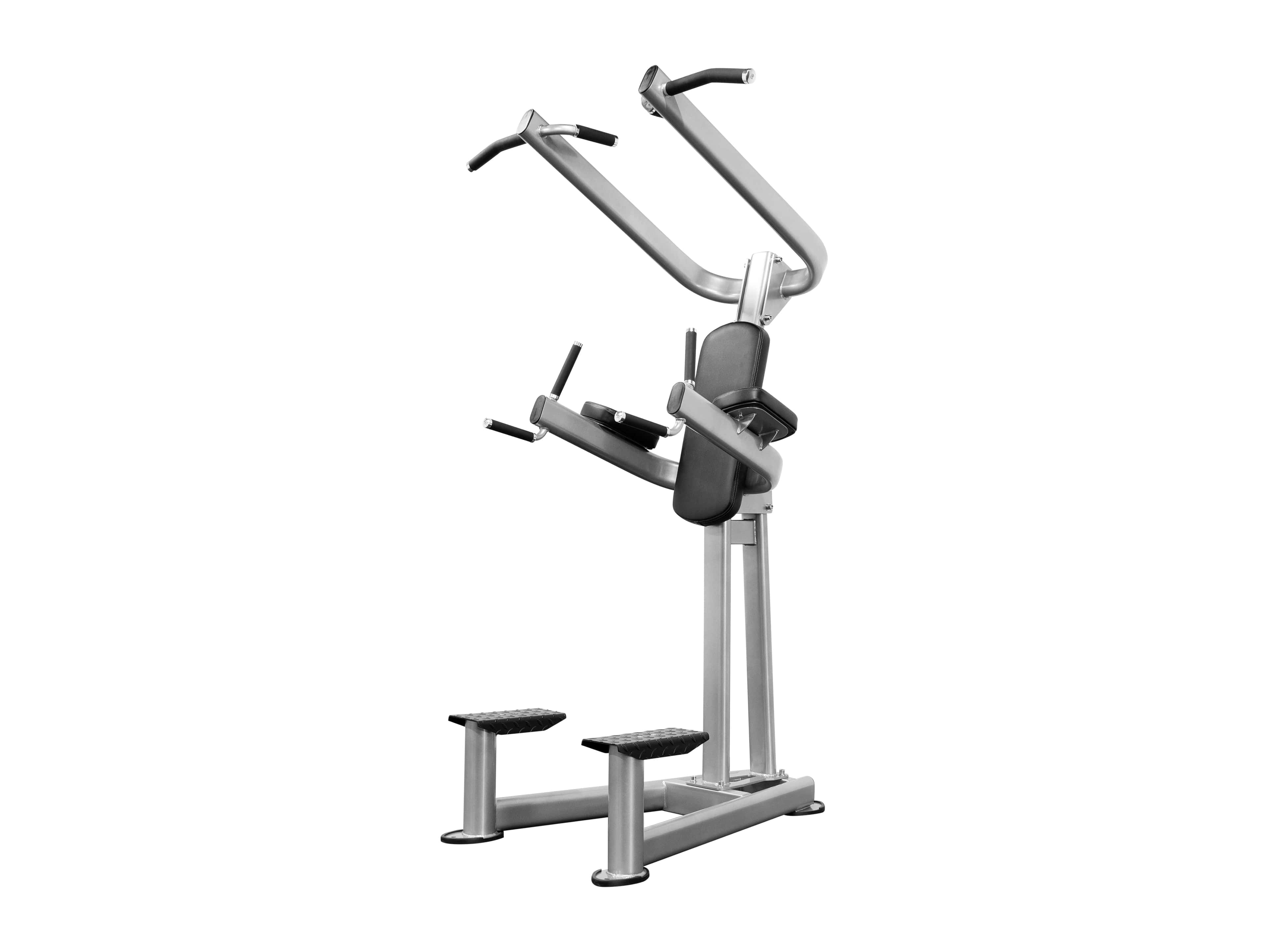 CF2110 Chin Dip Tower-1