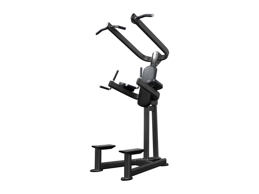 CF2110 Chin Dip Tower
