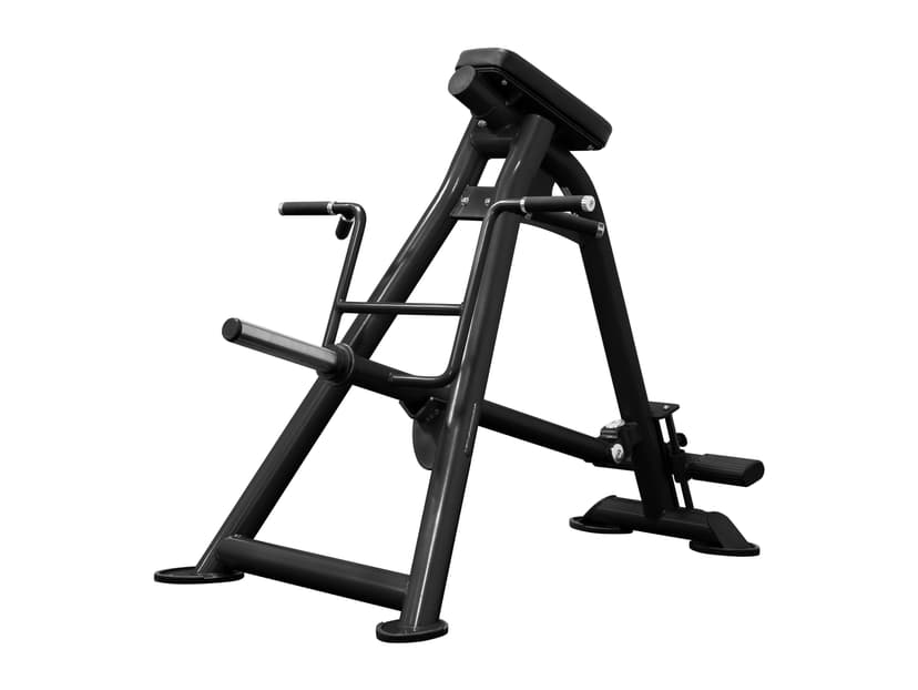 CF2173 Standing T-Bar Row