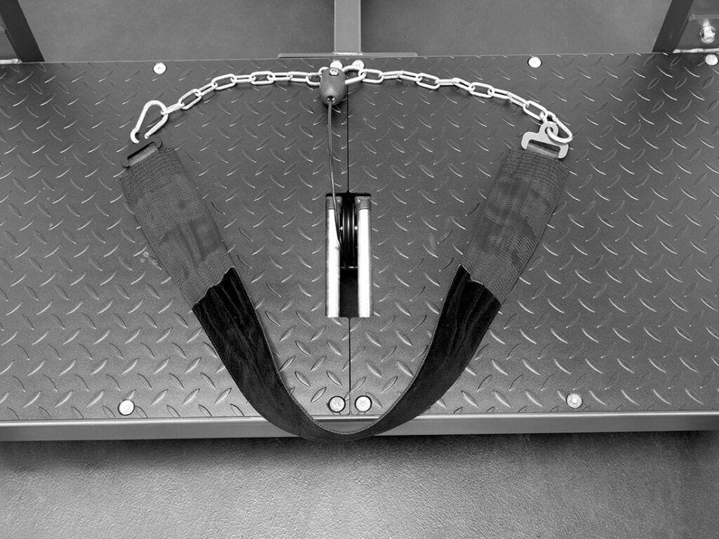 FL1834 Belt Squat - Subfeature Image