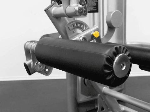 Isolation Series - Leg Curl/Extension - GR639 - Subfeature Image
