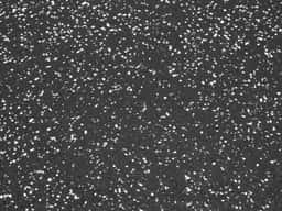Rubber Interlocking Tiles 2'x2' 6mm (200sqft)-6